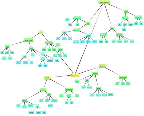 Concept Map - ecosystems lesson