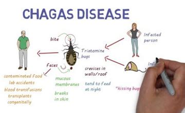 treatment of chagas disease Timeline showing the history of chagas ...