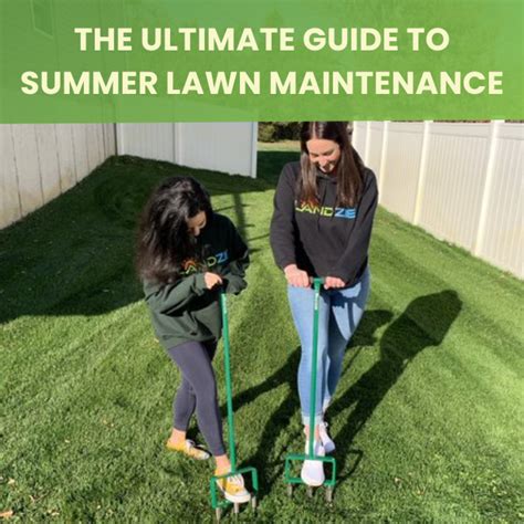 Summer Lawn Maintenance - Landzie