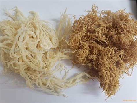 Dried Eucheuma Cottonii Seaweed From Viet Nam /High Quality Irish Sea ...