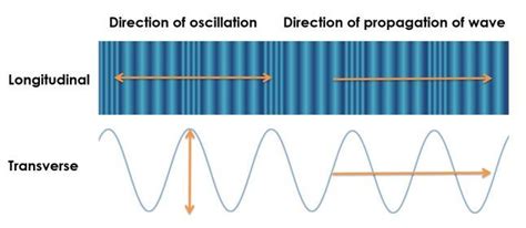 Diagram showing that transverse waves oscillate in a direction that is ...