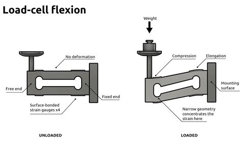 Types Of Load Cells Overview Transducers Sensors Tacuna, 54% OFF