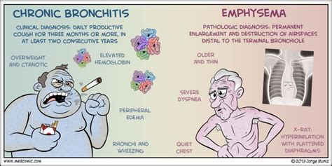 Copd nursing, Nursing care, Nursing school survival