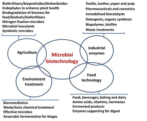 Focused areas of microbial biotechnology | Download Scientific Diagram