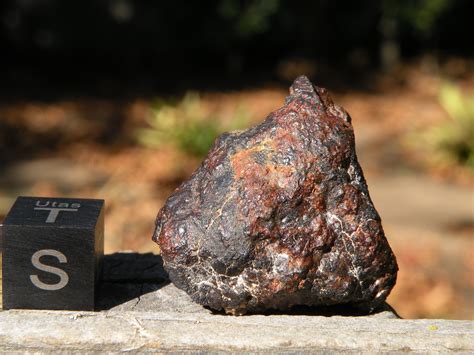 Meteorite Gallery, Photos, Information, Hunting, Research, Preservation