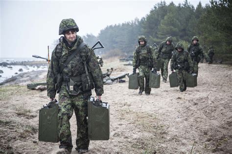 “Hedgehog,” Estonia’s biggest military exercise of all time – does every quill really count? – ICDS