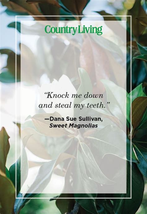 The Best (and Funniest!) Quotes From Sweet Magnolias on Netflix | Sweet ...