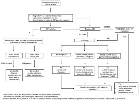 Medullary thyroid carcinoma: recent advances in identification, treatment, and prognosis ...