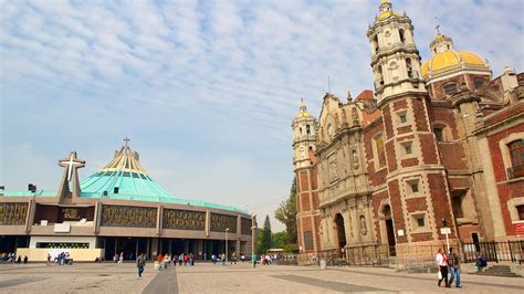 Basílica de Nuestra Señora de Guadalupe: Información de Basílica de ...