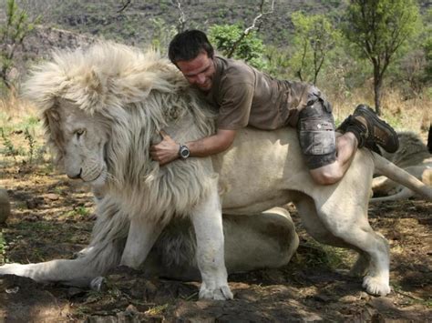 Kevin Richardson with White Lions | Animals beautiful, Animals, Animals friends