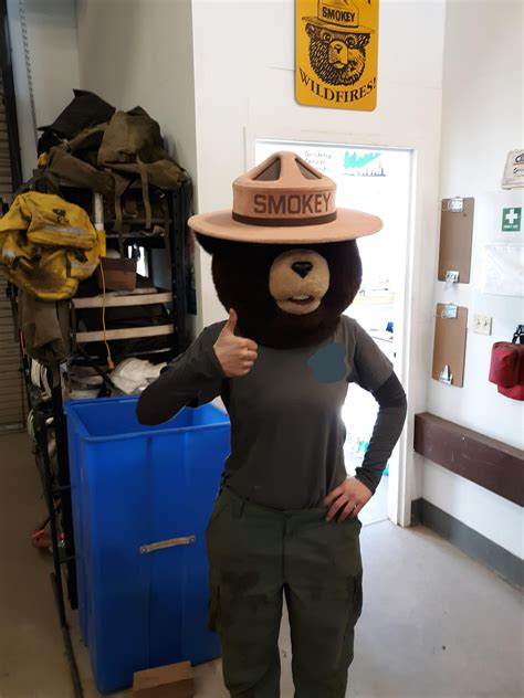 I have access to a smokey the bear costume and I want to use it. | Bear ...