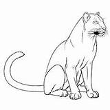 10 Printable Panther Coloring Pages Your Toddler Will Love sketch template