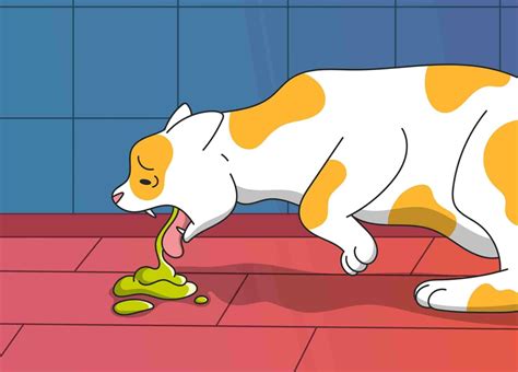 Cat Vomiting Explained: Common Causes and Treatment