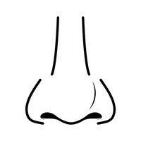 Nose clipart - Clipground