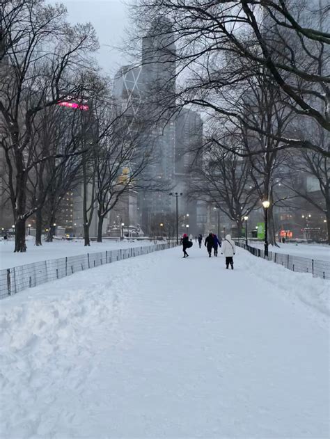 The Observer | Scenes From a Snowy City: Historic Snowstorm Hits NYC