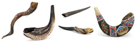 Everything You Need To Know Before Buying A Shofar | Judaica Buying Guides