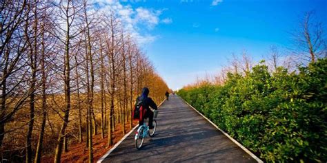 China Shanghai Dongtan Wetland Park Tickets - Special Price 2023 at ...