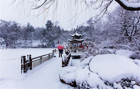 The romantic snow in winter photo image_picture free download 500672511 ...