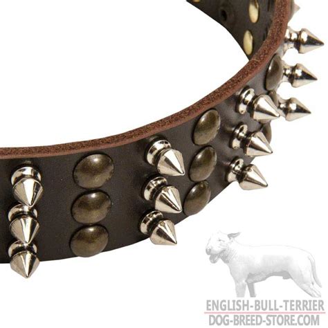 Purchase Decorated Leather Bull Terrier Collar | Dog Walking