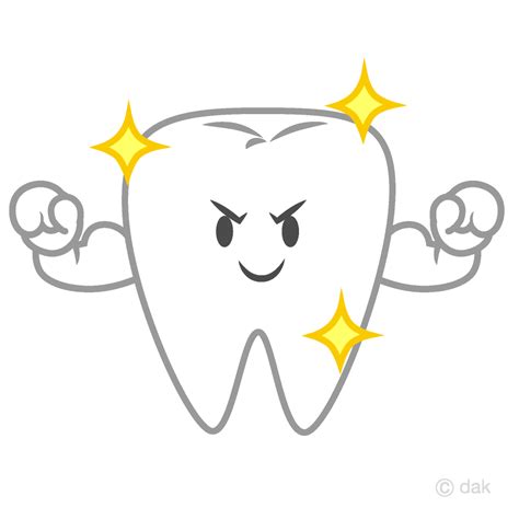 Sturdy Cute Tooth Clip Art Free PNG Image｜Illustoon