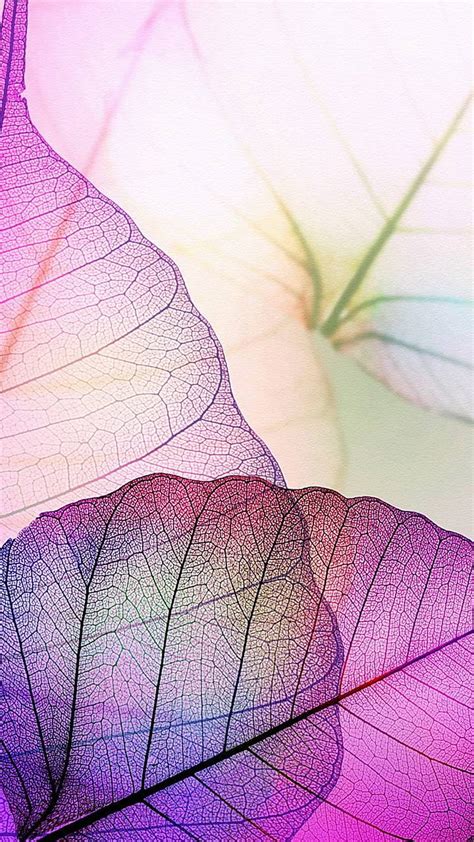 Colorful leaves, 2018, pone, HD phone wallpaper | Peakpx