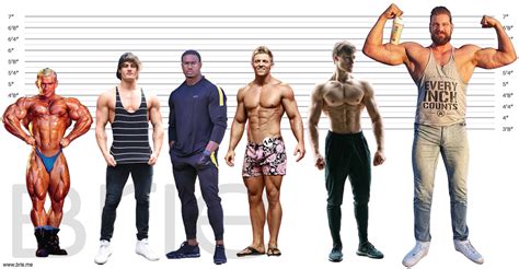 Steve Cook Height - How Tall is He Really? - Brie