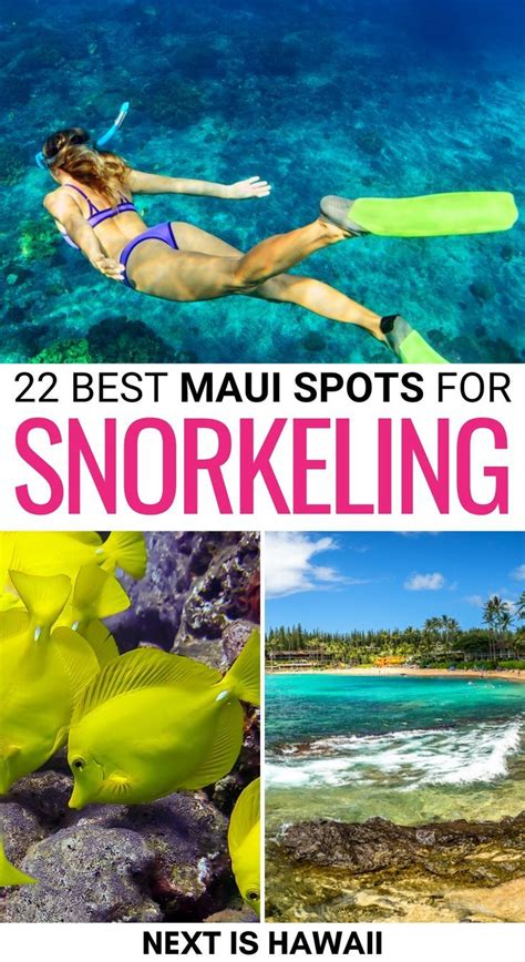 22 Best Places in Maui for Snorkeling (+ Tips) | Maui hawaii vacation, Maui snorkeling, Hawaii ...