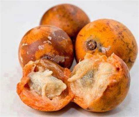 Udara: 6 Enticing Facts You Need to Know About African Star Apple