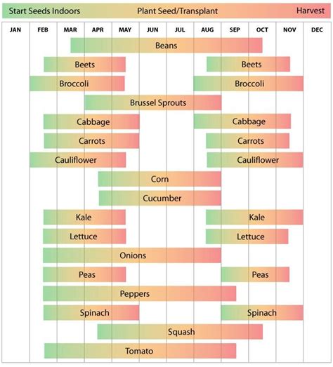 Arizona Vegetable Gardening Calendar