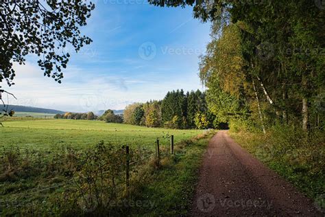 In Saarland forests, meadows and solitary trees in autumn look. 9737815 Stock Photo at Vecteezy