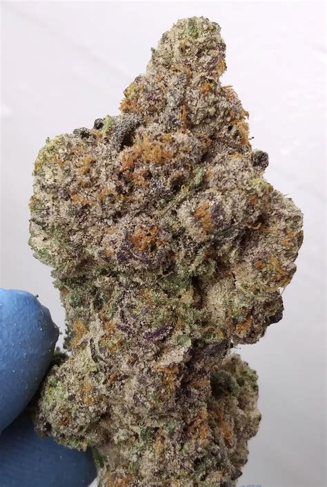 THIN MINTZ X JEALOSY (big buds) – 37%THC (special price $200oz) – Cannabis Dispensary Website