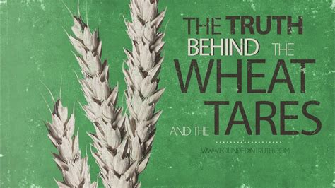 Parable Of Wheat Tares