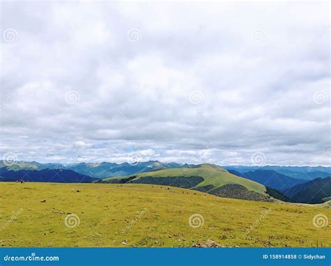 Tibet Trip To the Mountain Grassland Stock Photo - Image of high ...