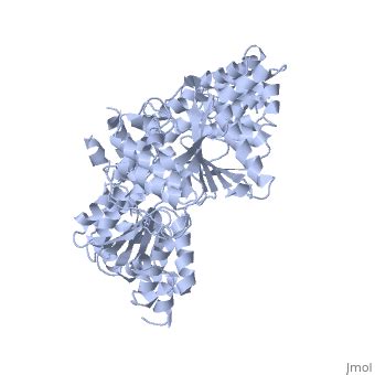 Helicase - Proteopedia, life in 3D