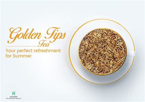 Golden Tips Tea – Some Essential Facts to Know About this Unique Beverage