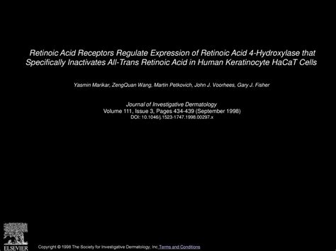 Retinoic Acid Receptors Regulate Expression of Retinoic Acid 4 ...