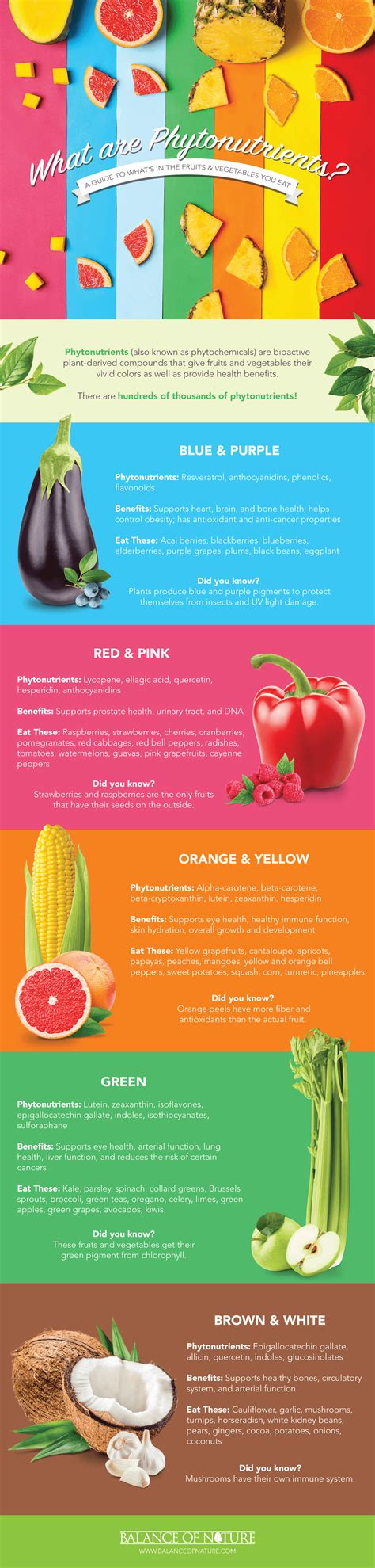 What Are Phytonutrients