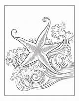 Starfish In sea Coloring Pages  Premium AI Generated Image sketch template