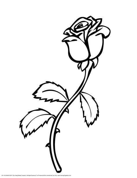 Rose color clipart 20 free Cliparts | Download images on Clipground 2024