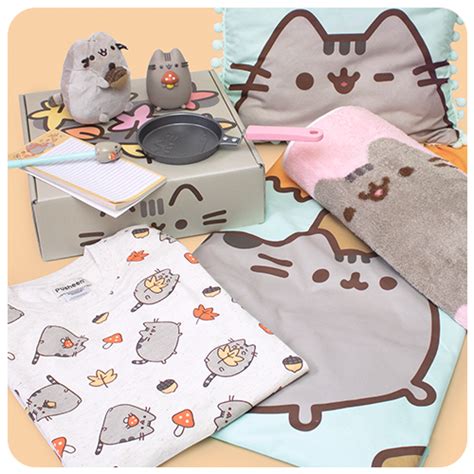 Past Boxes | Pusheen Box