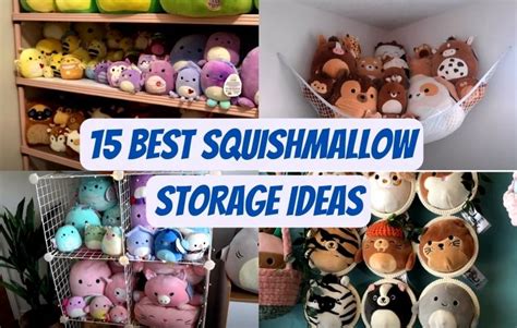 15 Best Squishmallow Storage Ideas (2023 Updated)