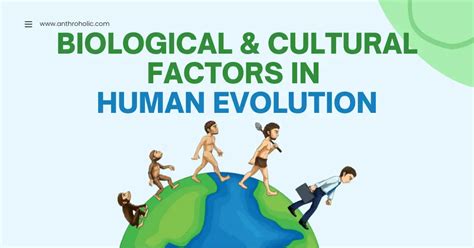 Biological and Cultural Factors in Human Evolution | Anthroholic