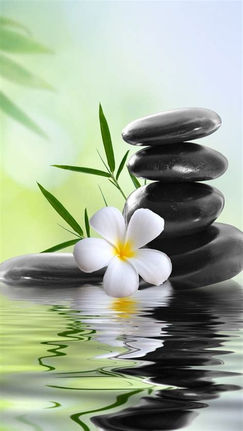 Relaxing Zen Wallpaper Iphone - img-pansy