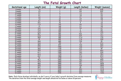 Fetal Growth Chart shows the exact measurements of the average fetal length and weight by ...