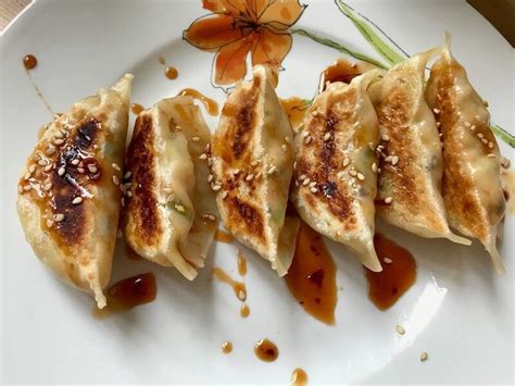 Pan-Fried Vegan Gyoza – Catskill Animal Sanctuary