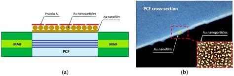 Sensors | Free Full-Text | Advances on Photonic Crystal Fiber Sensors ...