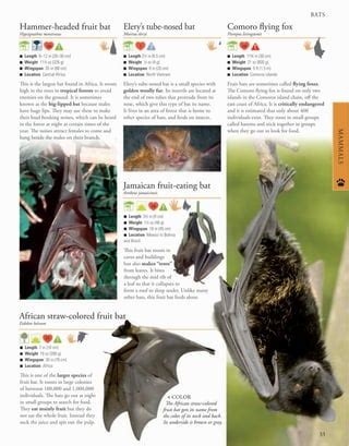 Animals, a visual encyclopedia (2nd Edition).pdf