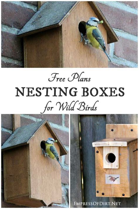 Goldfinch Birdhouse Plans Free