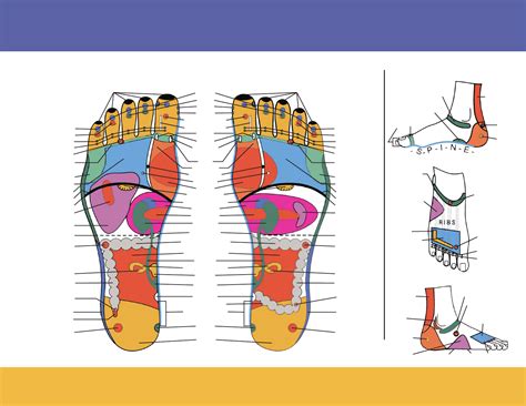 Foot Reflexology Chart | Reflexology foot chart, Reflexology chart, Foot reflexology