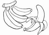 Banana Coloring Pages  Best For Kids sketch template
